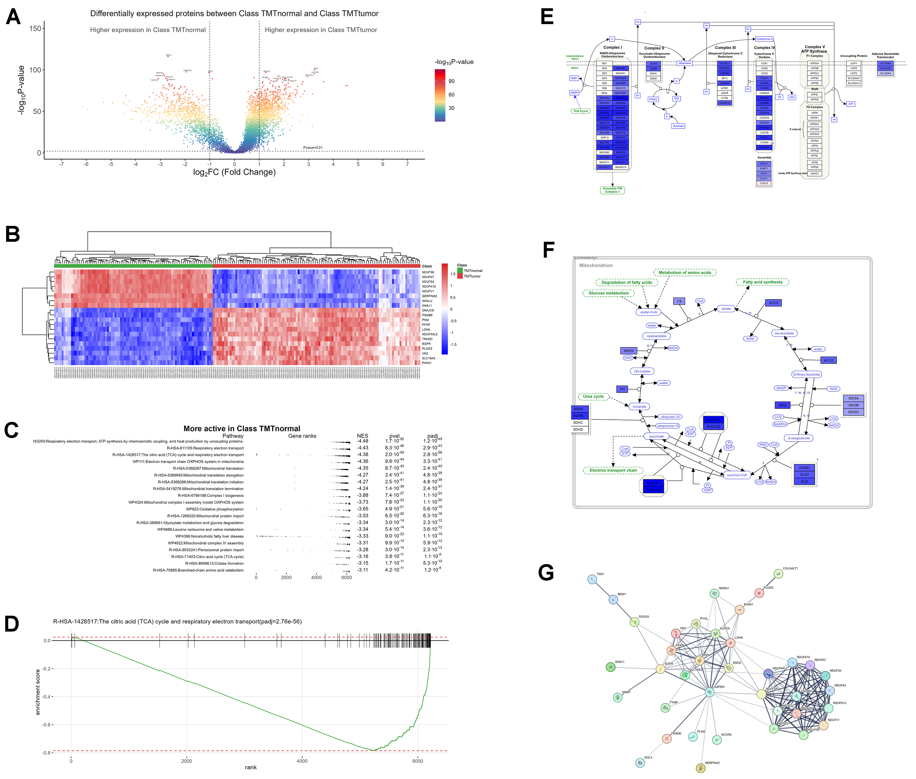 Public Dataset Harmonization Graph